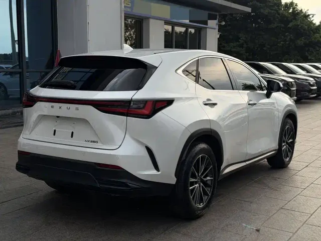 Lexus Lexus NX 2022 260 FWD Innovation Edition — Фото автомобиля 6