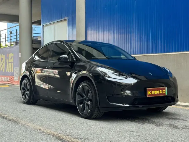 Tesla Model Y — Фото автомобиля 3
