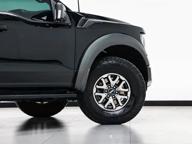 Ford F-150 Raptor — Фото автомобиля 21
