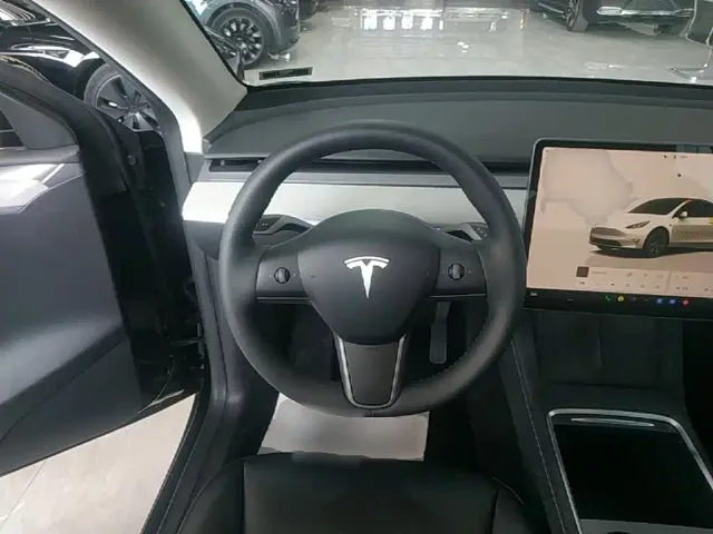 Tesla Model Y — Фото автомобиля 10