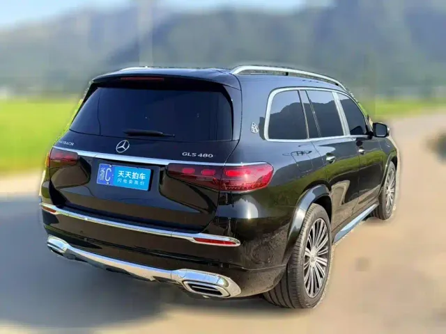 Mercedes-Benz Maybach GLS — Фото автомобиля 2