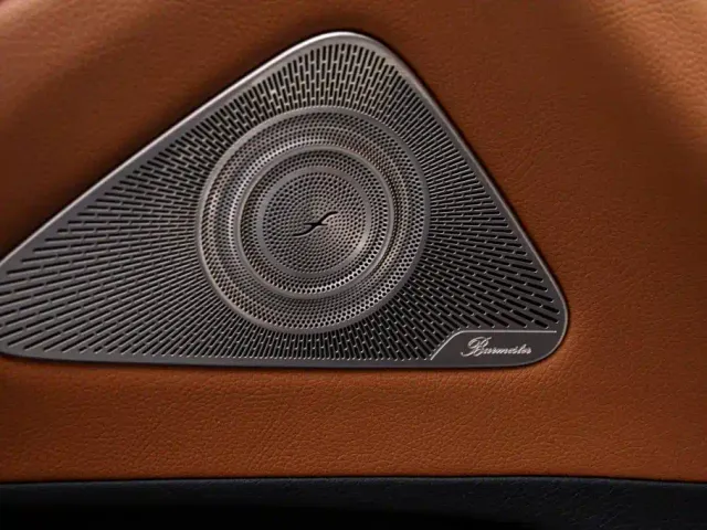 Mercedes-Benz S-Class — Фото автомобиля 14