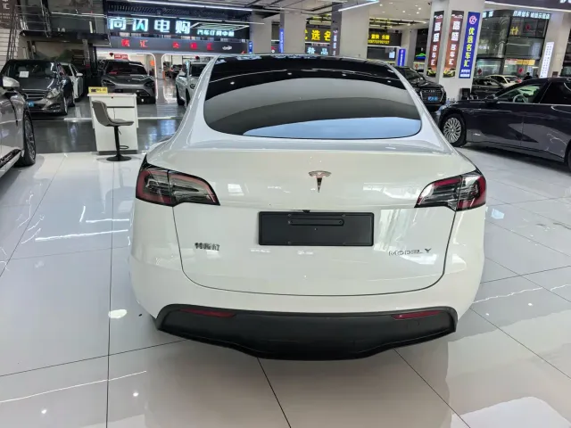 Tesla Model Y — Фото автомобиля 16