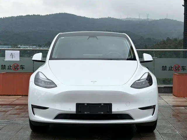 Tesla Model Y — Фото автомобиля 2