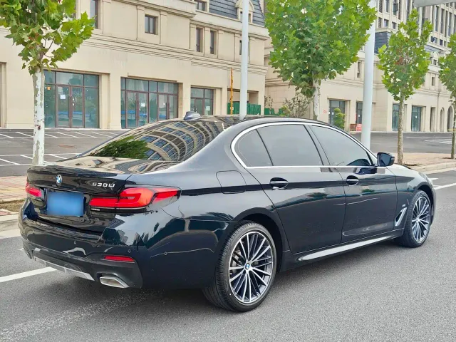 BMW 5 Series — Фото автомобиля 15