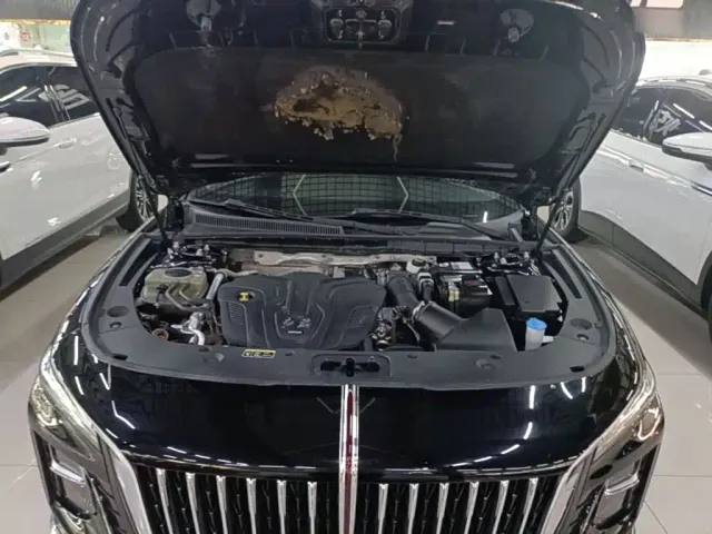 Hongqi H5 — Фото автомобиля 19