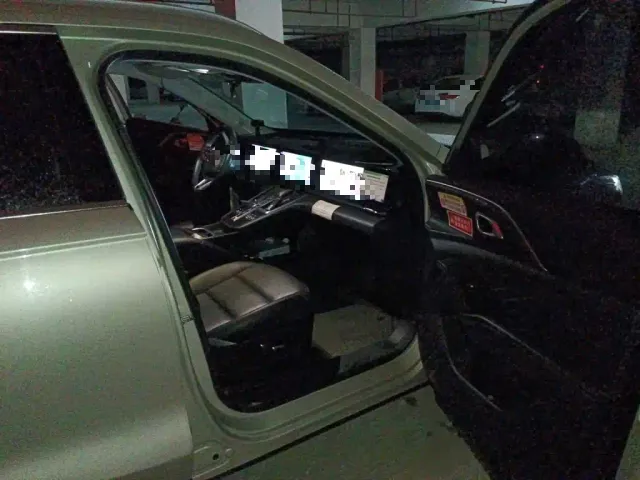 Haval Xiaolong MAX — Фото автомобиля 17