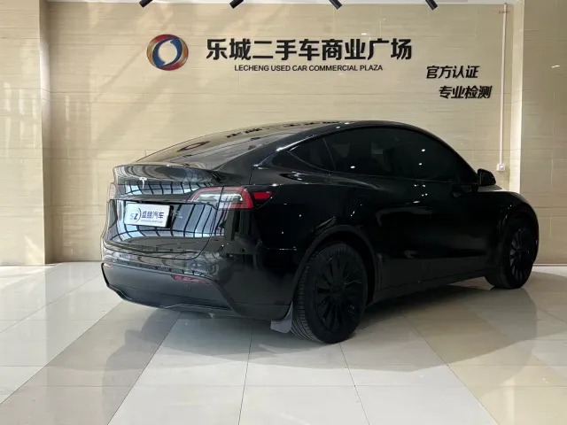 Tesla Model Y — Фото автомобиля 22