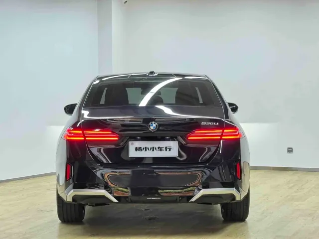 BMW 5 Series — Фото автомобиля 28