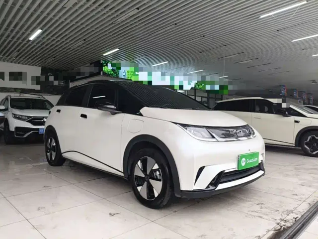BYD Dolphin — Фото автомобиля 3