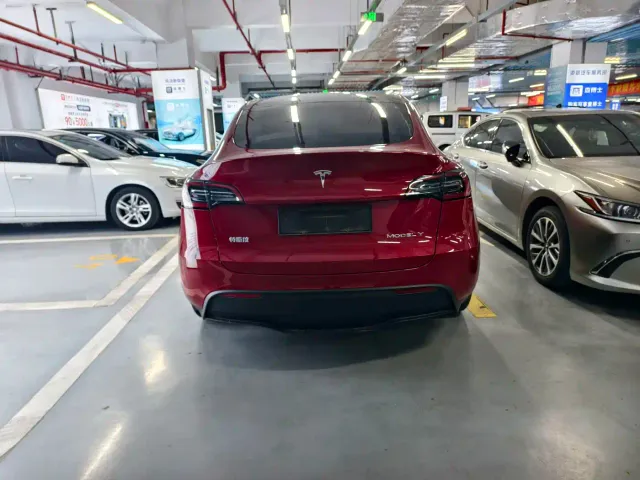 Tesla Model Y — Фото автомобиля 10