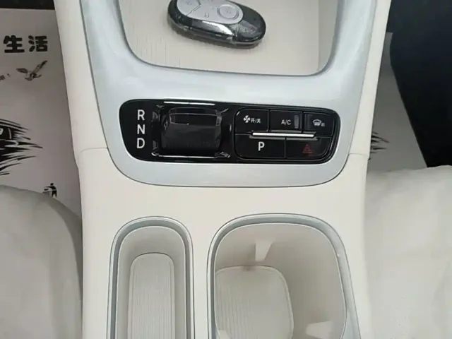 Geely Starry Wish — Фото автомобиля 13