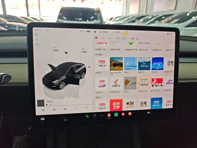 Tesla Model Y — Фото автомобиля 8