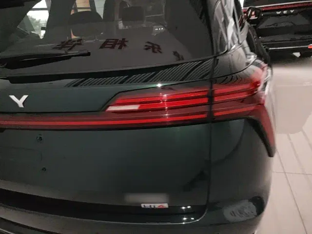 Wey Lanshan — Фото автомобиля 7