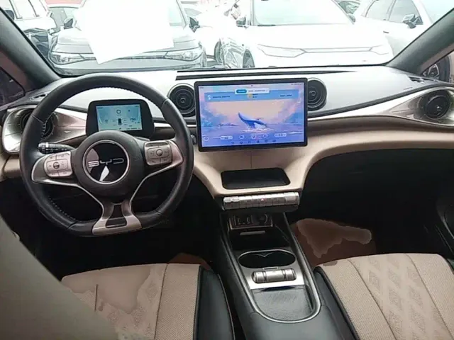 BYD Dolphin — Фото автомобиля 9