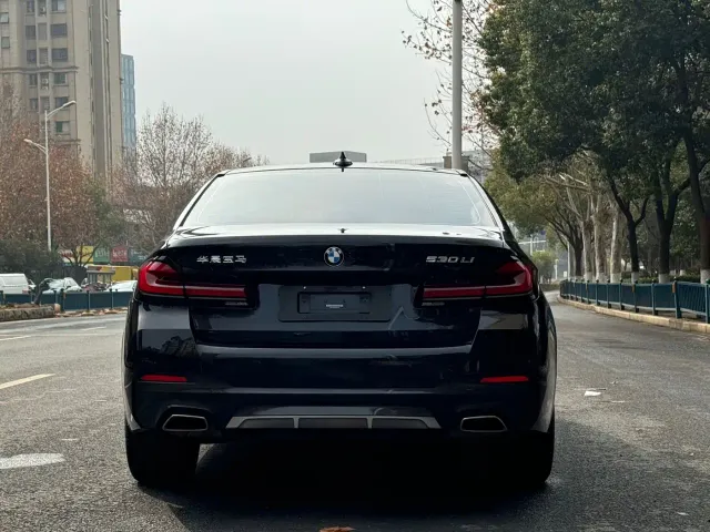 BMW 5 Series — Фото автомобиля 5