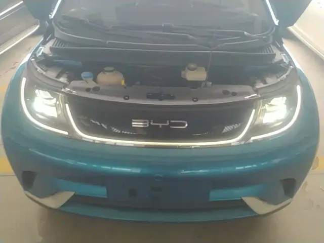 BYD Dolphin — Фото автомобиля 19