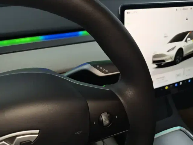 Tesla Model Y — Фото автомобиля 13