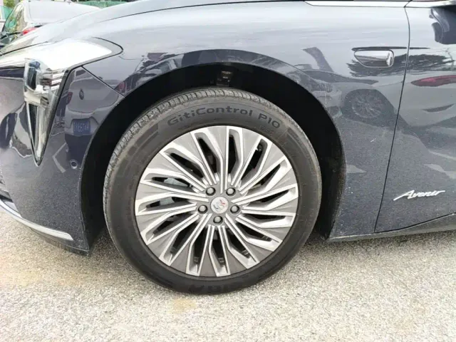 Buick Electra L7 — Фото автомобиля 22