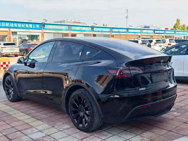 Tesla Model Y — Фото автомобиля 3