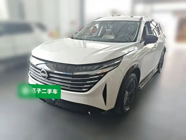 Фотография автомобиля — Nissan Terra