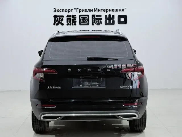 Skoda Karoq — Фото автомобиля 5
