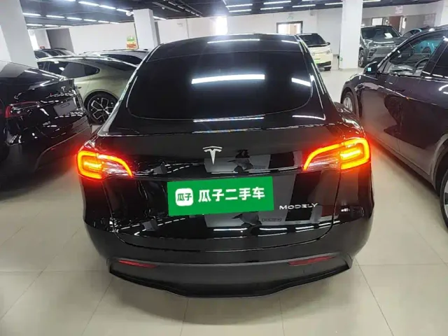 Tesla Model Y — Фото автомобиля 5