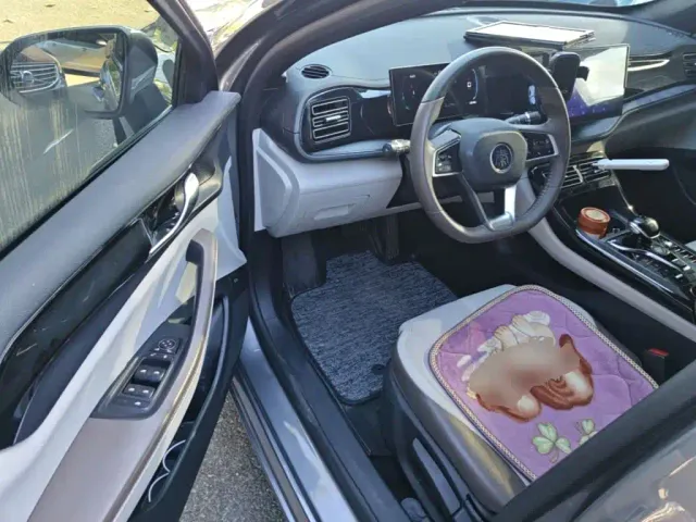BYD Qin PLUS — Фото автомобиля 15