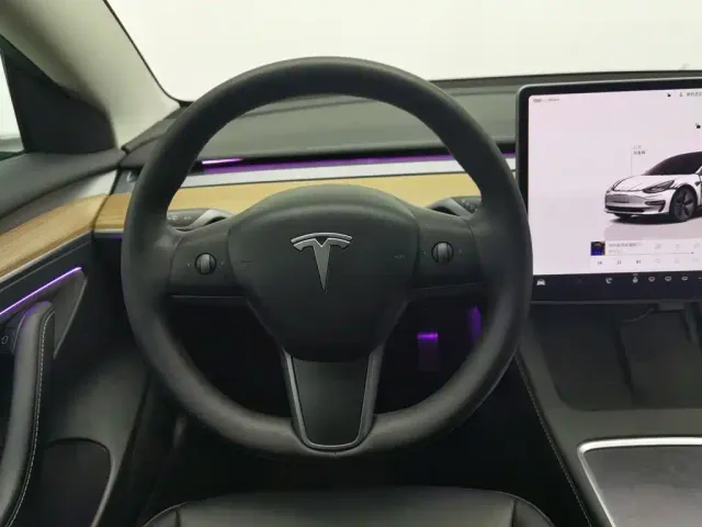 Tesla Model 3 — Фото автомобиля 11