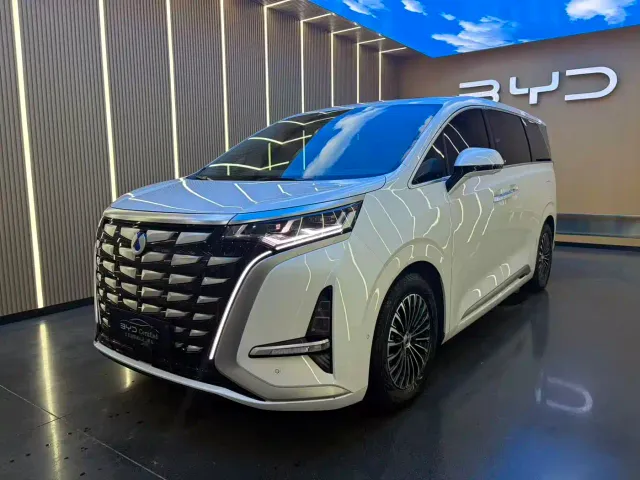 Фотография автомобиля — Denza D9