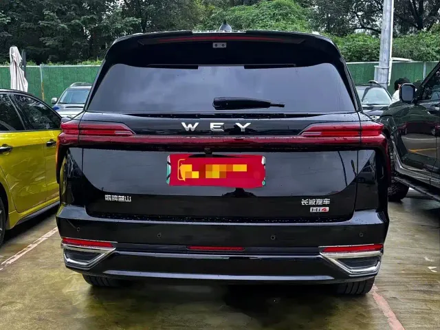 Wey Lanshan — Фото автомобиля 14