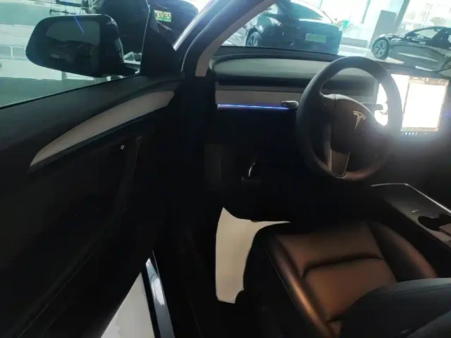Tesla Model Y — Фото автомобиля 15