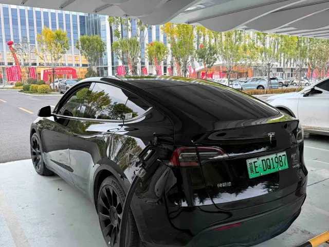 Tesla Model Y — Фото автомобиля 6