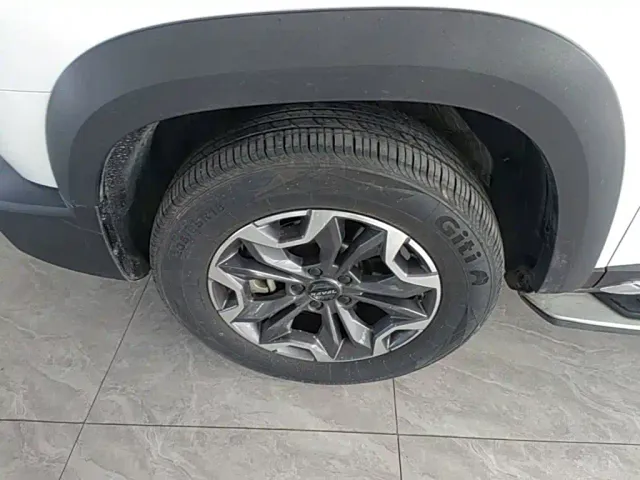 Haval Big Dog — Фото автомобиля 22