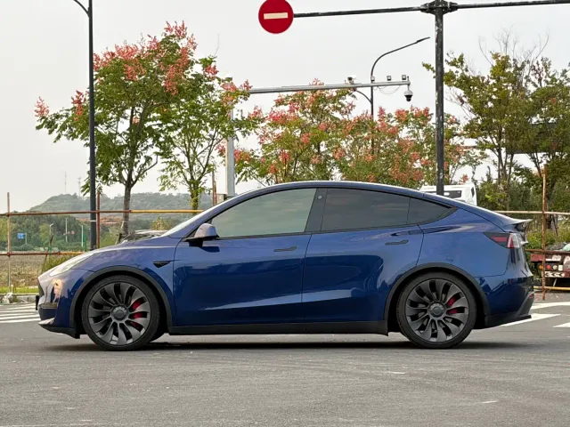 Tesla Model Y — Фото автомобиля 3