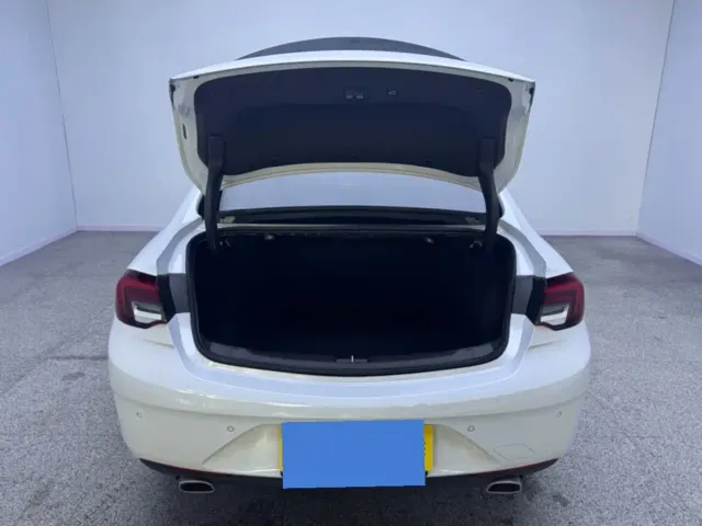Buick Regal — Фото автомобиля 14