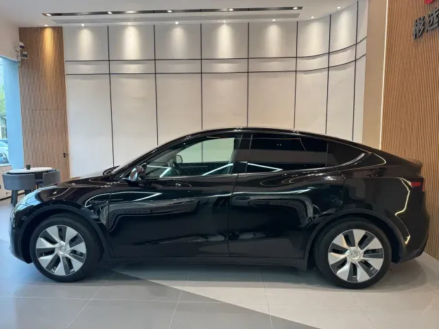 Tesla Model Y — Фото автомобиля 4