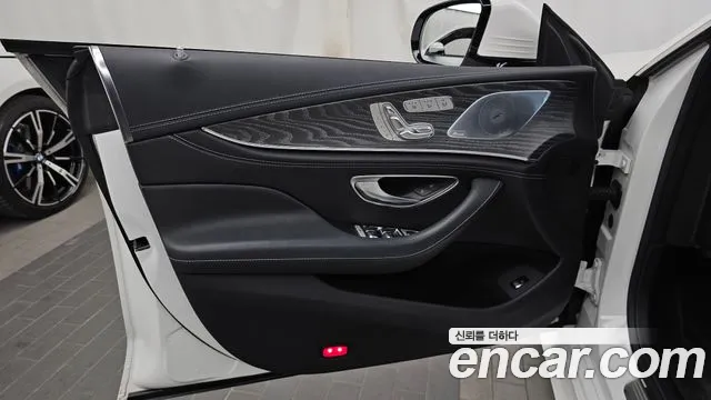 Mercedes-Benz AMG GT X290 (2018–2026) — Фото автомобиля 13