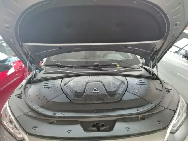 BYD Song PLUS — Фото автомобиля 19
