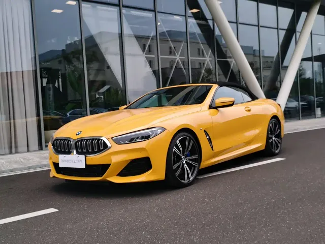 BMW 8 Series — Фото автомобиля 15