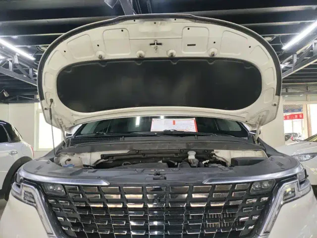 Kia Carnival — Фото автомобиля 7