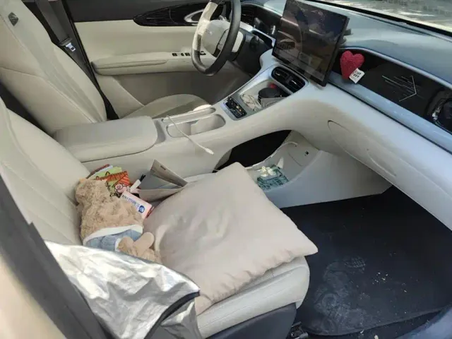 Geely Starry Wish — Фото автомобиля 8