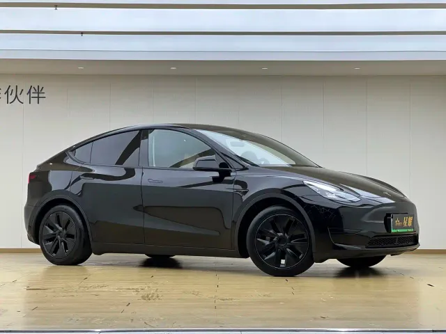 Tesla Model Y — Фото автомобиля 3