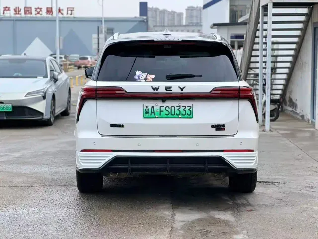 Wey Lanshan — Фото автомобиля 12