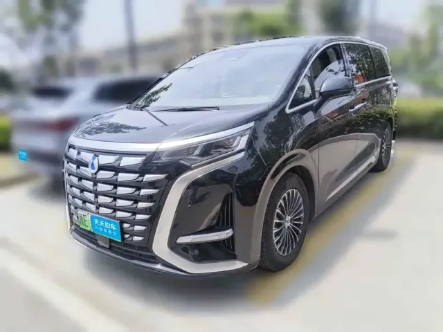 Фотография автомобиля — Denza D9