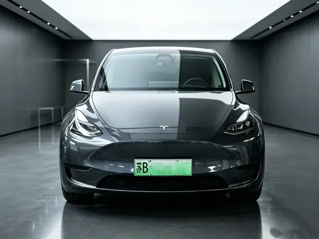 Tesla Model Y — Фото автомобиля 3