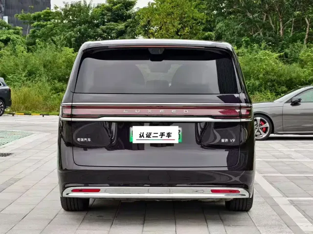 Luxeed Zunjie MPV — Фото автомобиля 9