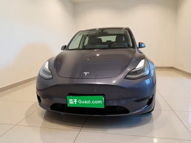 Tesla Model Y — Фото автомобиля 2