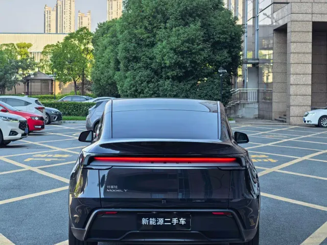 Tesla Model Y — Фото автомобиля 8