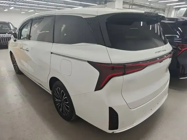 Forthing Xinghai V9 — Фото автомобиля 4